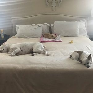 Meet your Posher, Stacia